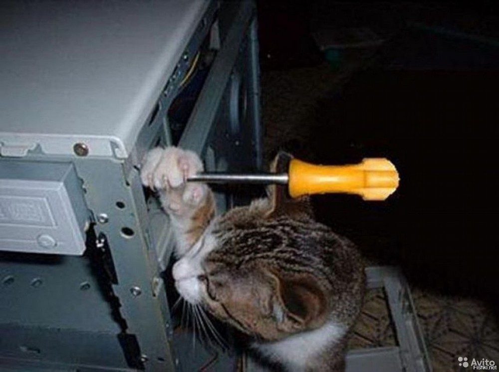 Создать мем: кот ремонтник, кот в системнике, кот ремонтирует