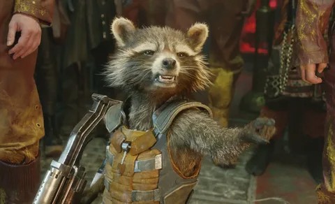 Create meme: Guardians of the galaxy raccoon rocket, raccoon rocket , rocket guardians of the galaxy