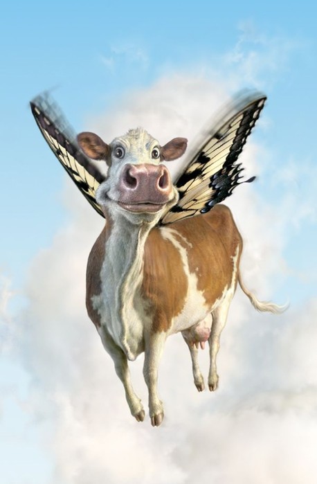 Create meme: the cow is flying, flying cow, cow with wings