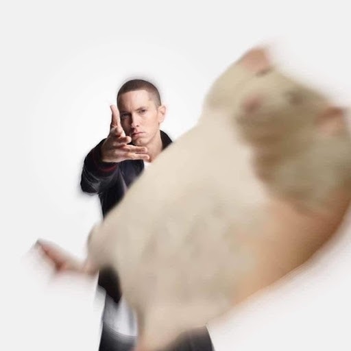 Create meme: Eminem meme, Catch a hamster, Eminem catch a hamster