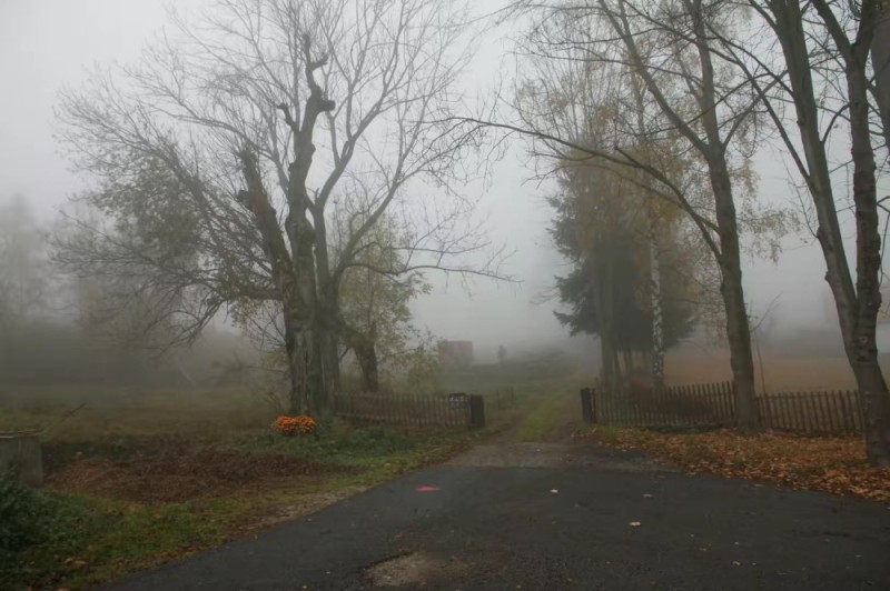Create meme: late autumn, foggy morning in the village, landscape bad weather