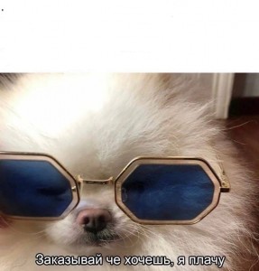 Create meme: glasses, animals cute