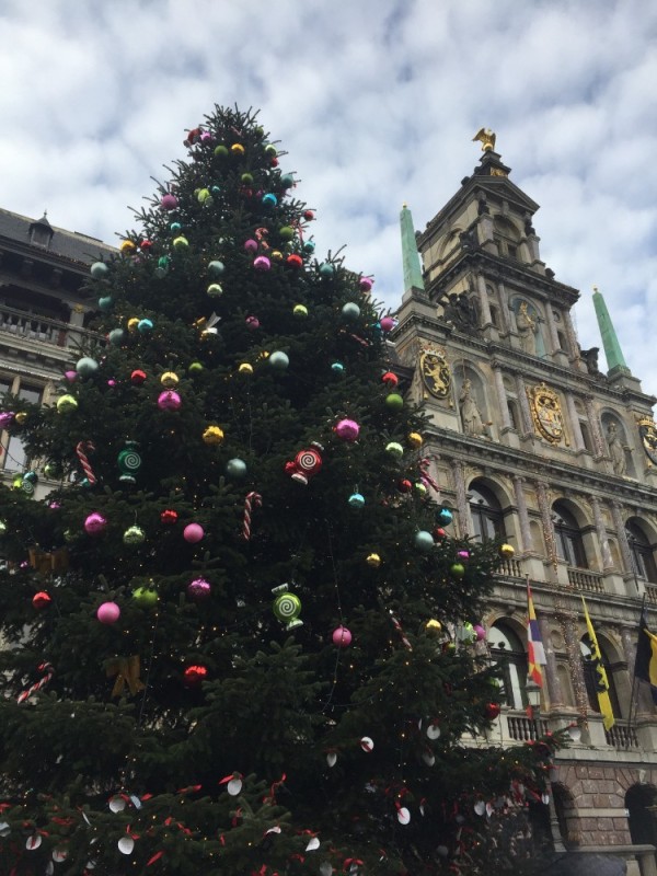 Create meme: Antwerp City Hall, Belgium brussels New Year tree, Grand Place Brussels Christmas