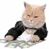 Create meme: cash cat, cat, cat with money