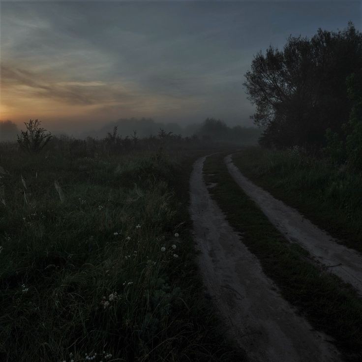 Create meme: road sunset , landscape fog, village road