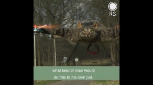 Create meme: cat quadcopter, dead cat helicopter, the cat on the drone