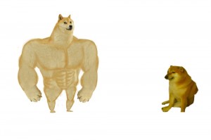 Create meme: Jock the dog and you learn the pattern, doge meme Jock, Jock the dog and you learn