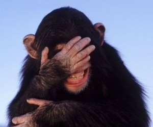 Create meme: chimpanzees, monkey facepalm, the monkey laughs