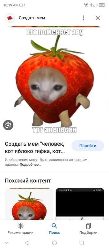 Create meme: cat apple meme, the cat in the strawberry meme, strawberry cat
