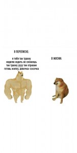 Create meme: Jock the dog and you learn memes, doge meme, inflated doge meme