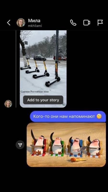 Create meme: memes, Rico the penguin, penguin 