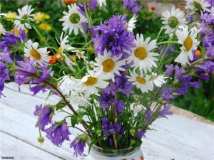 Create meme: wild flowers, pictures of chamomile flowers and cornflowers, happy birthday bouquet of wild flowers