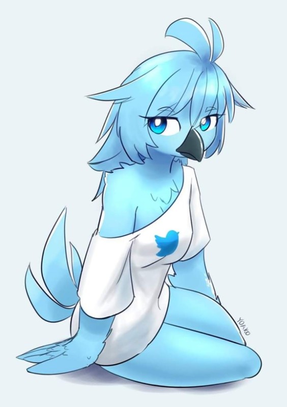 Create meme: tweetfur, the furry bird, furry characters