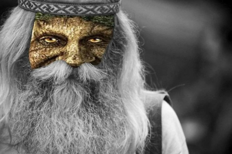 Create meme: the beard of the Slavs, wise mysterious tree, the Slavic elder