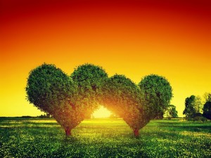Создать мем: дерево картина, дерево в виде сердца, дерево в форме сердца