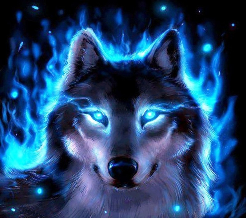 Создать мем: красивый волк, волк волк, волк с голубыми глазами