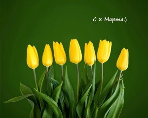 Create meme: yellow tulips on gray background, yellow tulips, spring postcard on 8 March-yellow tulips