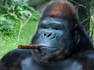 Создать мем: горилла олег, задумчивая горилла, горилла смешная