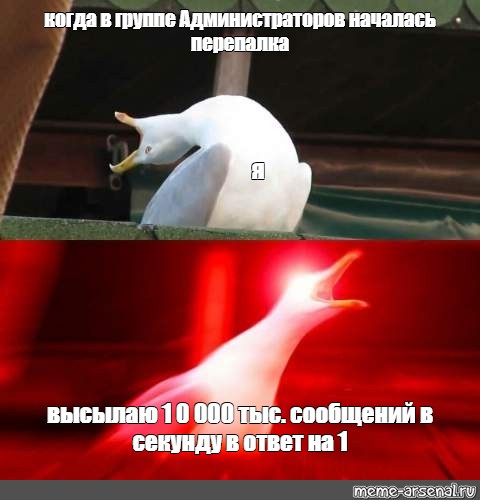 Доктор кто глубокий вдох. Гусь Мем. Чайка Мем. Чайка с руками Мем. Глубокий вдох Мем.