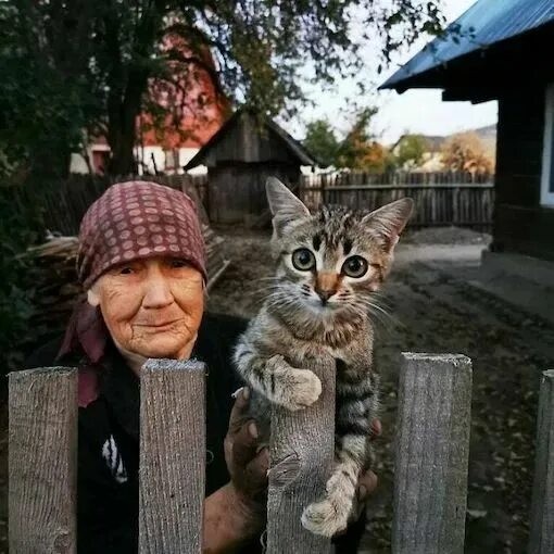 Create meme: The village cat, an old lady with a cat, cat 