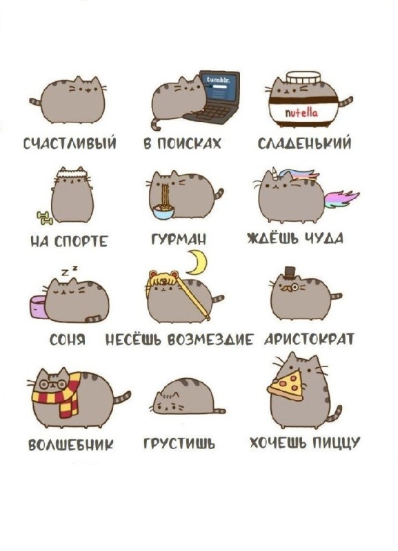 Создать мем: кот пушин и его друзья, кот pusheen, кот пушин