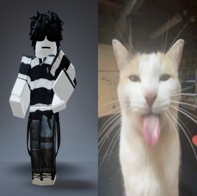 Создать мем: cat, silly cat, мем кошка