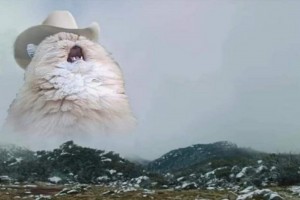 Создать мем: кот в шляпе в горах
