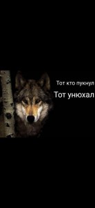 Create meme: wolf, photo of wolves on a black background, wolf