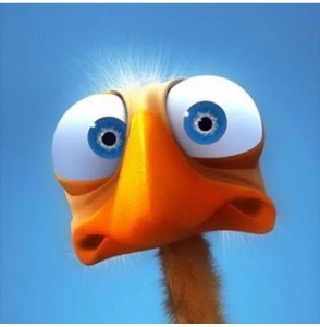 Create meme: a cartoon with bulging eyes, surprised ostrich, funny birds