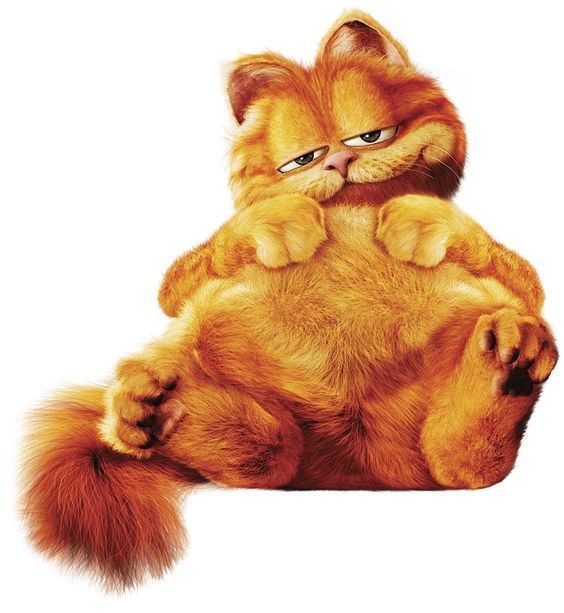 Create meme: garfield on a white background, Garfield , red cat garfield