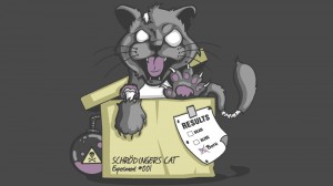 Create meme: cat, Schrodinger's cat Wallpaper, Schrodinger's cat pictures