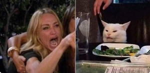 Create meme: cat meme, meme with a cat and two women, the cat table meme