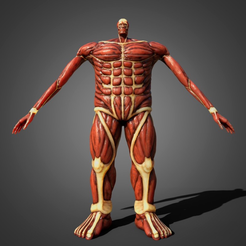 Create meme: titan colossus in full growth, a colossal titan in full growth, attack of the titans kolosal titan 3d