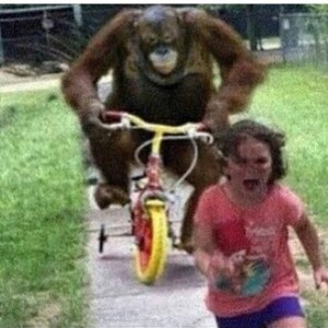 Создать мем: человек, monkey chase kid meme, мем обезьяна едет на велосипеде