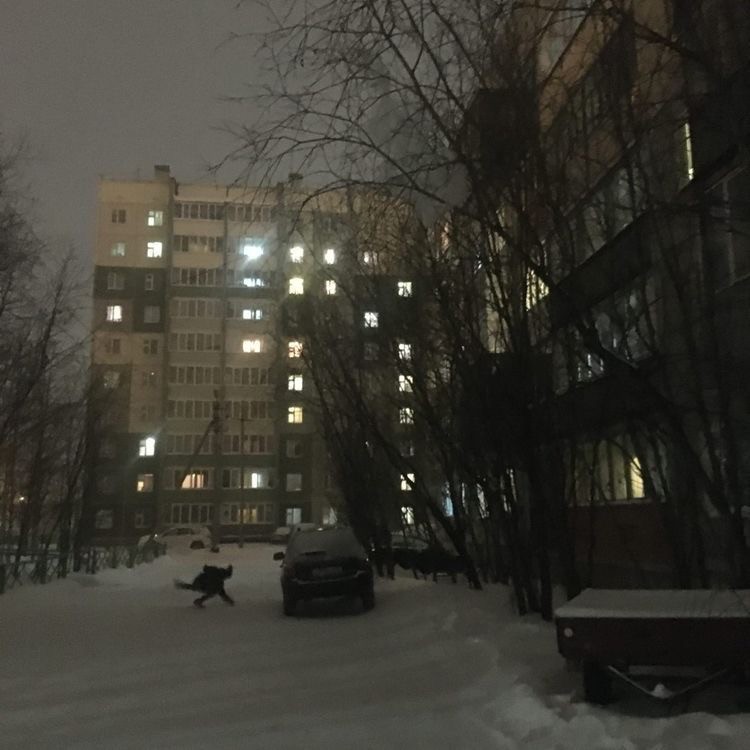 Create meme: And snow, the view from the window, the courtyard of a high-rise building at night