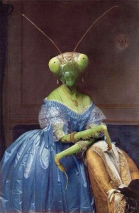 Create meme: praying mantis, Jean Auguste Dominique Ingres, mantis