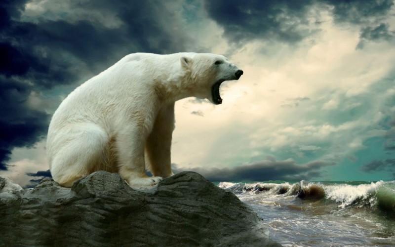 Create meme: painting of a polar bear, big polar bear, polar bear arctic