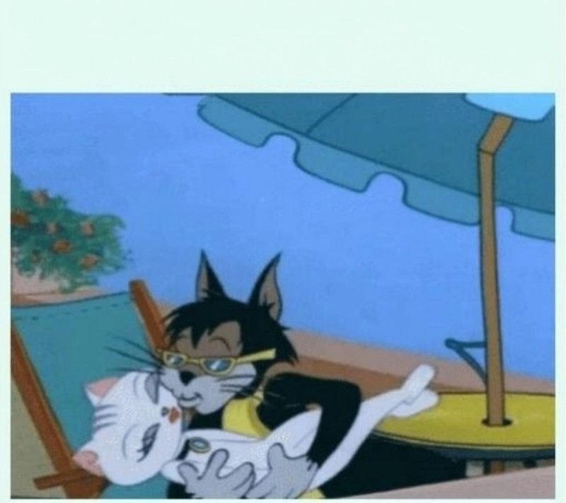 Create meme: Tom and Jerry Tom and Jerry, Tom and Jerry cat, Tom and Jerry cat