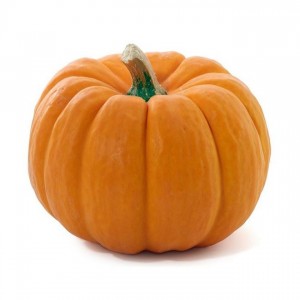 Create meme: pumpkin orange, pumpkin