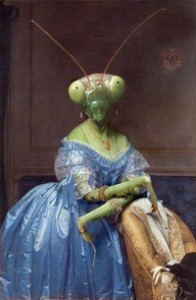 Create meme: praying mantis, Jean Auguste Dominique Ingres, the female praying mantis