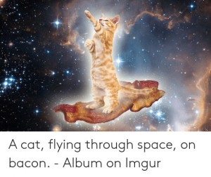 Создать мем: кот в космосе, кошка, космическая кошка