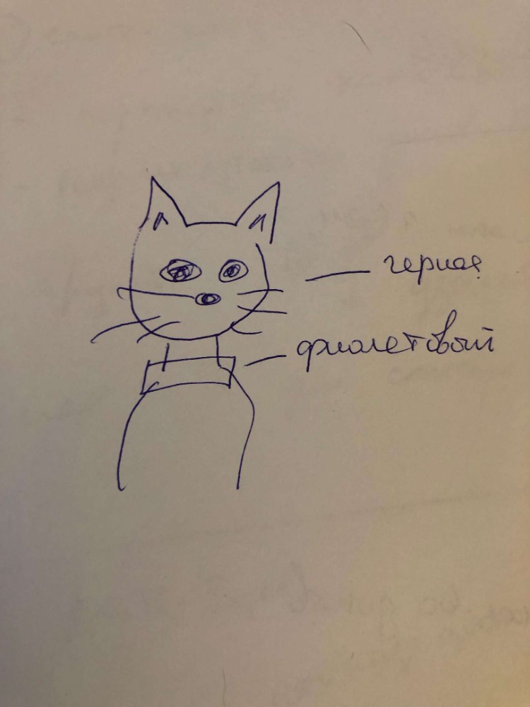 Мордочка кота рисунок для детей