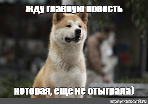 Жду новостей