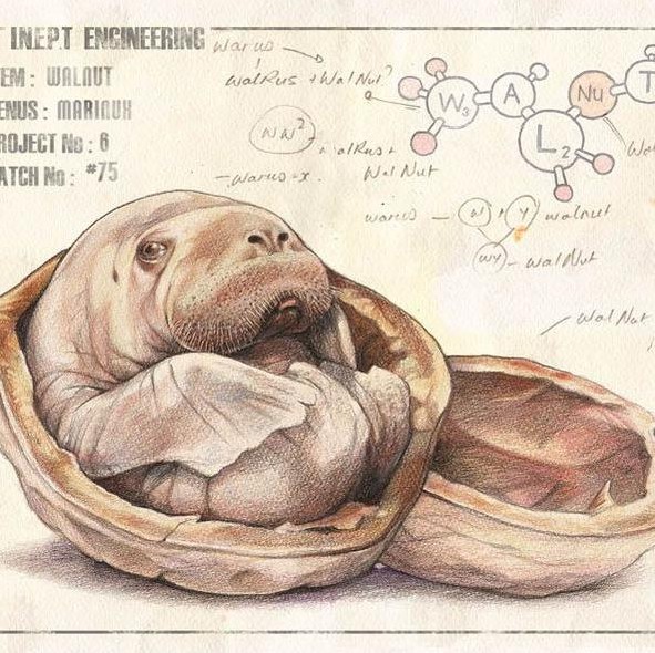 Создать мем: животные севера, редкие животные, морж рисунок