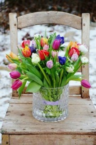 Create meme: tulips flowers