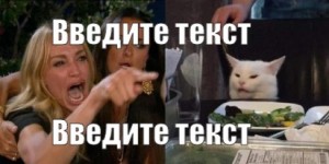 Create meme: meme with hysterical and cat, women and cat meme, Text
