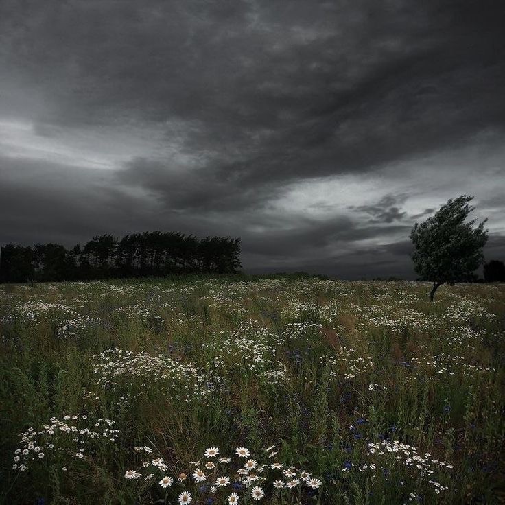 Create meme: The field is cloudy, landscape , under a dark sky