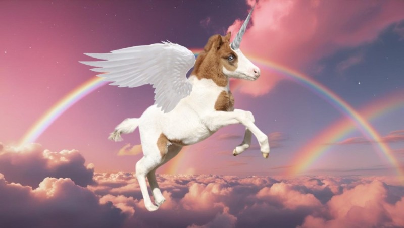 Create meme: unicorn , unicorns with wings, The pegasus unicorn