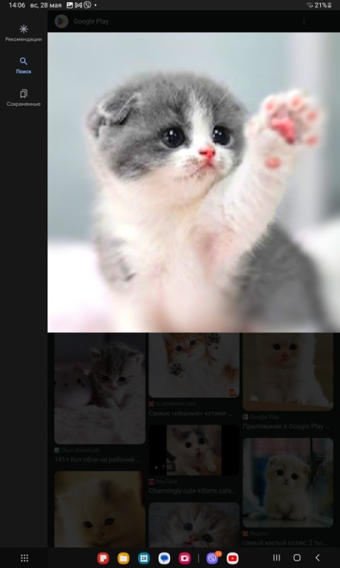 Create meme: cute cat , cute little kittens, cat 