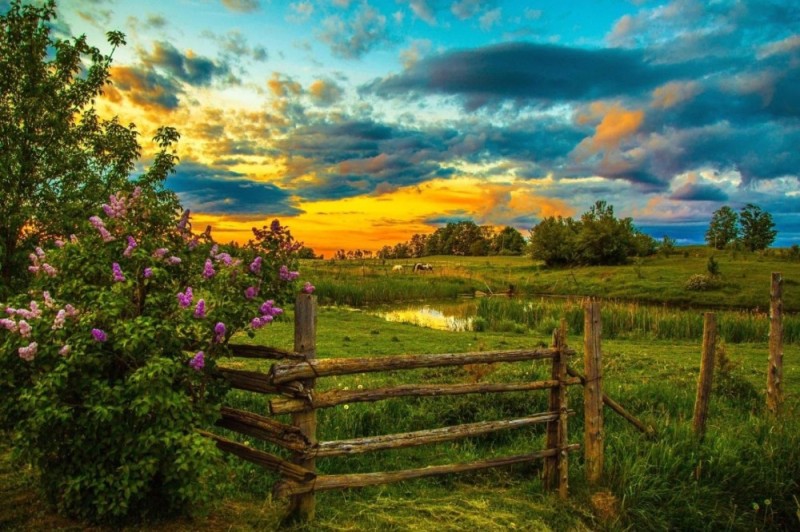 Create meme: summer sunset in the village, the outskirts of the village, summer village landscape